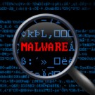 Idei de “afaceri” pe timp de criza – Fake Websites
